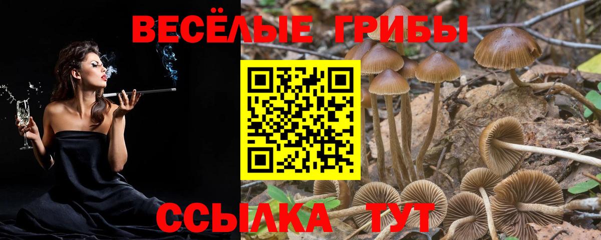Псилоцибиновые грибы мицелий  Вход с VPN  Искитим  Псилоцибиновые грибы Cubensis 
