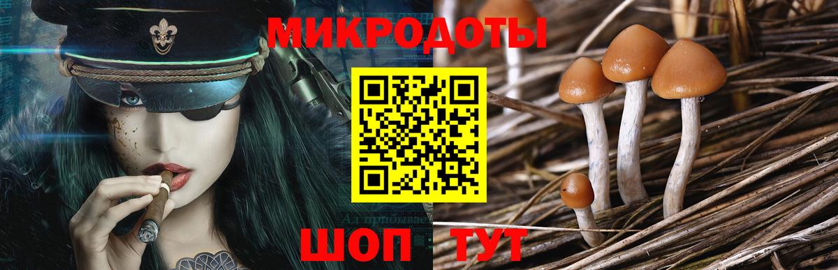 Псилоцибиновые грибы мицелий Искитим